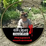 Medhat Soliman - @medhat.soliman.921 - Instagram
