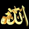 Medhat soliman - @medhat.soliman86 - TikTok