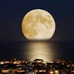 Medhat Soliman - @medhat.soliman.777 - Instagram