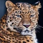 Medhat Soliman - @medhatselman5 - Instagram