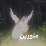 🦪مِلورین؛ به معنای مروارید سیاه - @_meelorin - Instagram