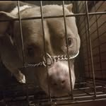 Meeka Brown - @meeka_mae4475 - Instagram