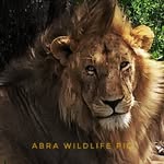 89meena - @abraham__meena - Instagram