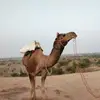 Meera Gupta - @meeragupta109 - TikTok