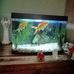 Meg Allen - Facebook