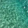 Megan Butler - @megan.butler7 - TikTok