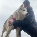 Megan Cook - @megancookss - Instagram