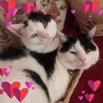 Meg Cooper - Facebook