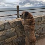 Meg Dawson - @meg.dawson.73 - Instagram