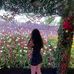 Meg Dobson - Facebook