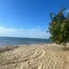 anglekym_84 - @meggdouglas - TikTok