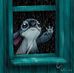 Meg Gilbert - Facebook