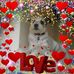Meg Jones - Facebook