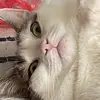 Megan Kahn - @megan.kahn - TikTok