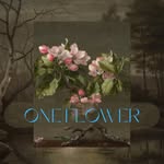 Meg Madden - @oneflowerherbs - Instagram