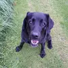 meganmgrath06 - @megz_mcgrath_06 - TikTok