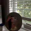 Mmcgrath - @megan_mcgrath22 - TikTok