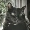 Meg Morris - @nainakin - TikTok