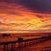 Meg Parker - Facebook