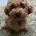 Meg Parker - Facebook