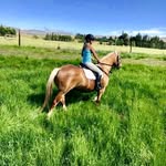Meg Patterson - @meet__my__horses - Instagram