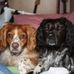 Clio and Meg Reed memories - Facebook