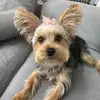 LittleMissWinnie - @megrodriguez16 - TikTok