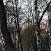 гладиатор - @megropers - TikTok