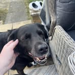 Megan Whitehead - Facebook