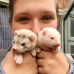 Megan Amos - @megan.amos.568 - Instagram