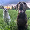 Megan Armbruster - @meganarmbruster3 - TikTok