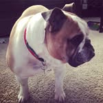 Megan 'Polkinghorne' Baumgartner - @megs_mary - Instagram