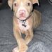 Megan Bell - Facebook