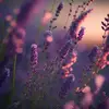 meganbitz - @meganbitz - TikTok