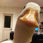 MBye - @megan_bye - Instagram