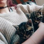 Megan Kate Conlan - @mygollygoodness - Instagram
