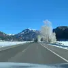 meg - @megan.conley - TikTok