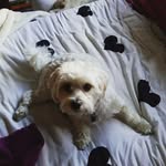Megan constable - @megan_spam__15 - Instagram