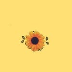 Megan Constable - @megannn9932 - Instagram