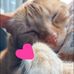 Megan Cornish - Facebook