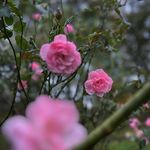 Megan Cutler - @mcutlerphotography - Instagram