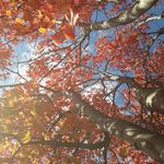 megan davey - @megans_nature_pics - Instagram