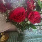 Megan Denson - @irishlass828 - Instagram