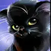 Megan Dingman - @jazzyblue200 - TikTok