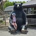 Megan Divers - Facebook