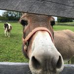 Megan Dobbs - @megdobbs22 - Instagram