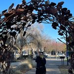 Megan Doering - @megan_doering - Instagram