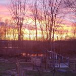 Megan Dora - @madmotherfarms - Instagram
