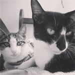 Megan e Dora - @megan.e.dora - Instagram