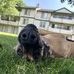 Megan Dowler - Facebook